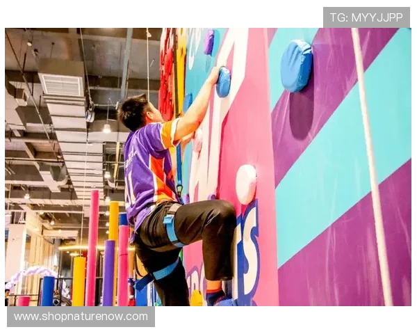 B体育官网手机版最新登录入口全面解析帮助玩家轻松畅玩