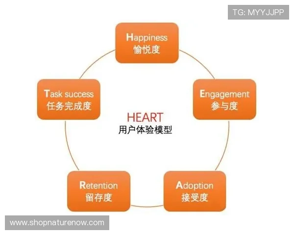 B体育如何利用大数据优化赛事预测与用户体验