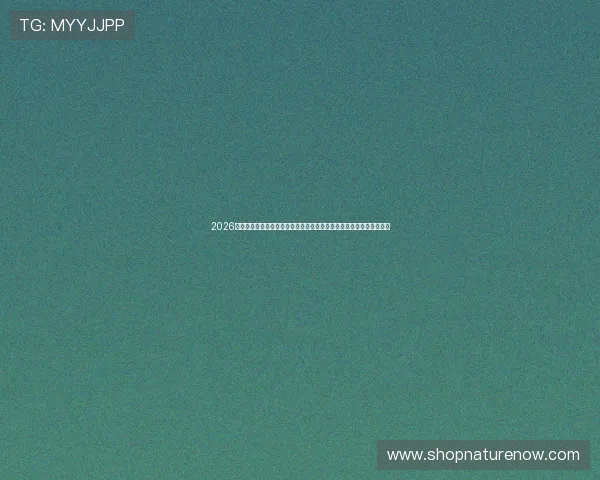2026世界杯澳大利亚与土耳其比赛交通指南详细解析赛事期间出行最佳方案 2026世界杯澳大利亚与土耳其比赛交通指南详细解析赛事期间出行最佳方案